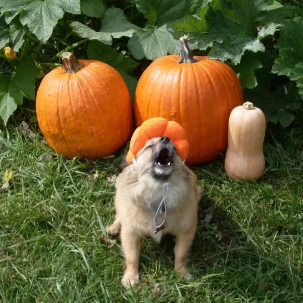 Picdump 178 - #26 