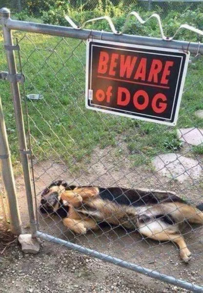 Picdump 178 - #3 