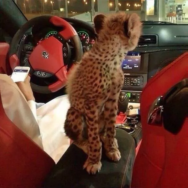 Picdump 178 - #32 