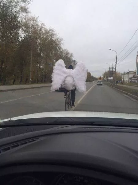 Picdump 178 - #50 