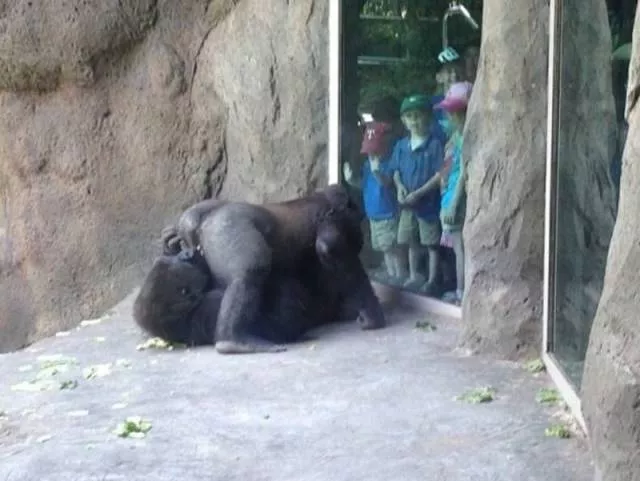 Picdump 178 - #64 