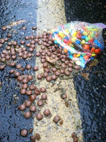 Picdump 178 - #73 