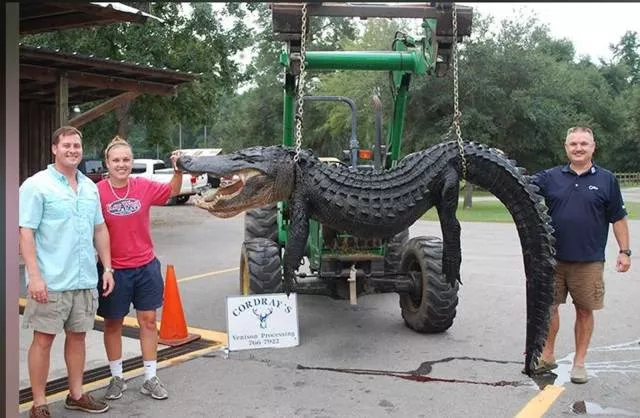 Picdump 178 - #83 