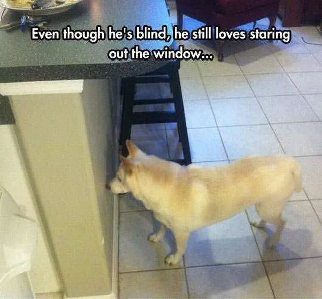 Picdump 178 - #88 