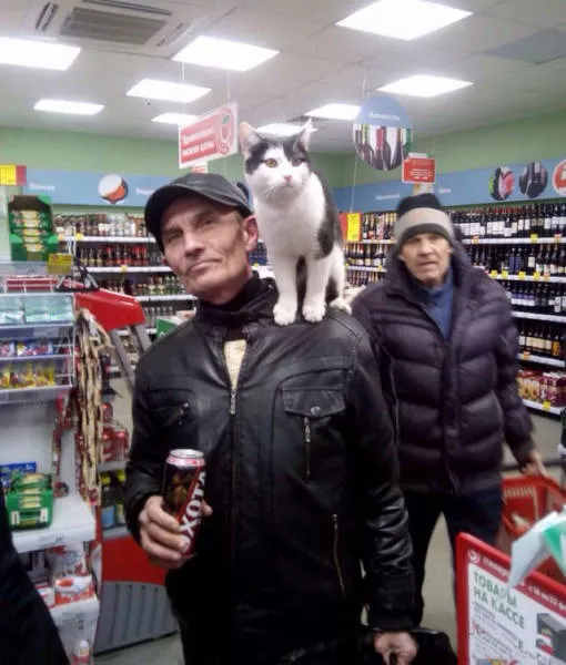 Picdump 35 - #11 