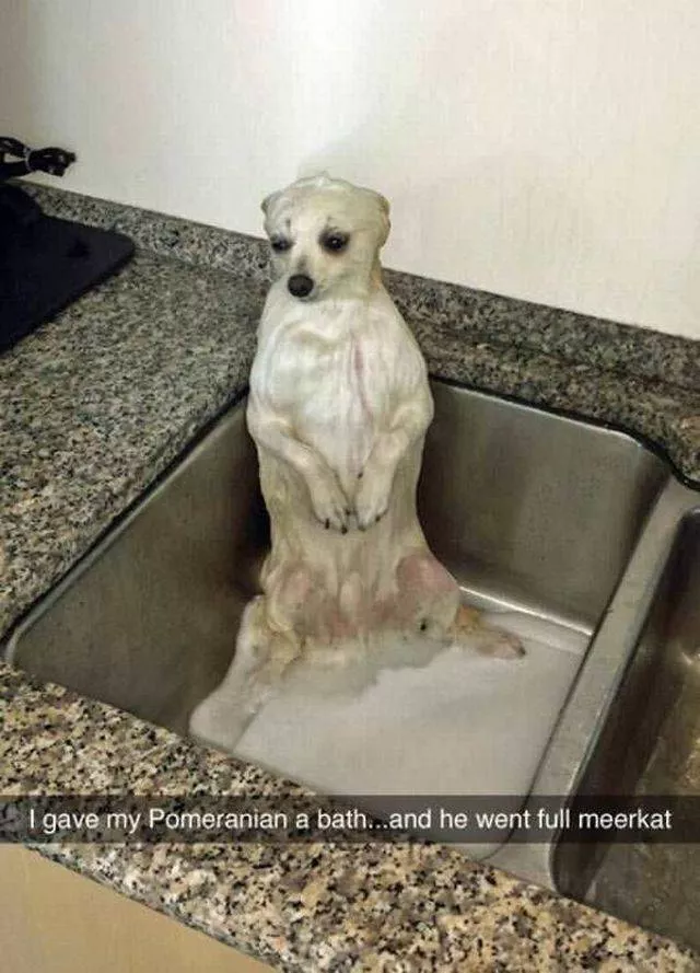 Picdump 35 - #27 