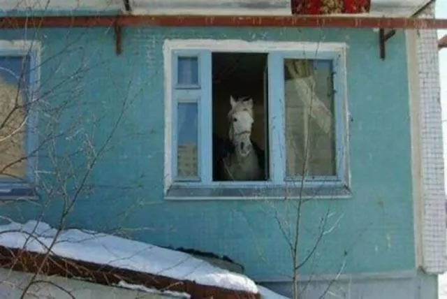 Picdump 35 - #33 