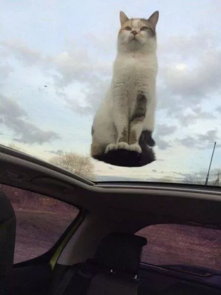 Picdump 35 - #45 
