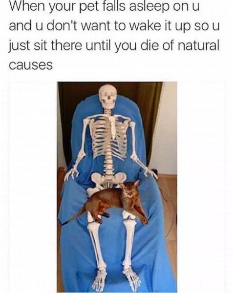 Picdump 179 - #19 