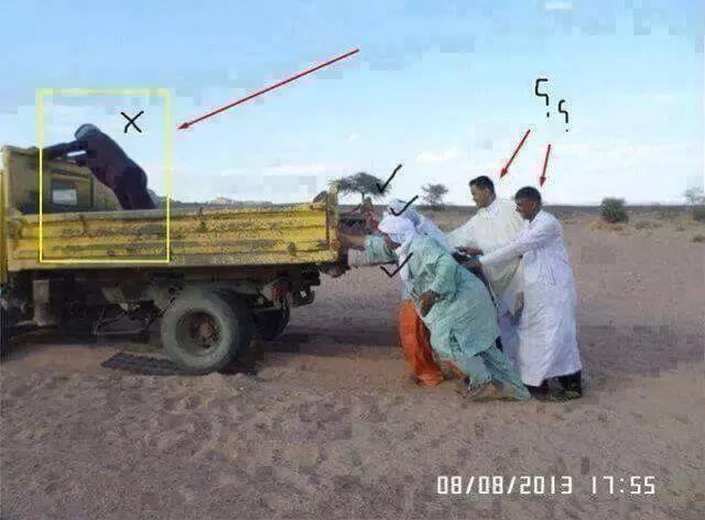 Picdump 179