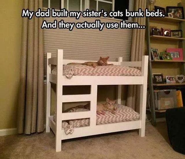 Picdump 179 - #32 