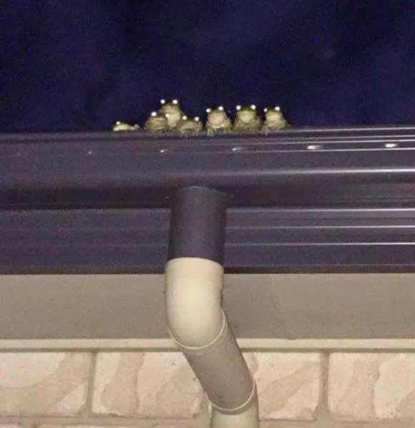 Picdump 179 - #33 