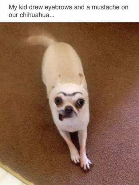 Picdump 179 - #9 