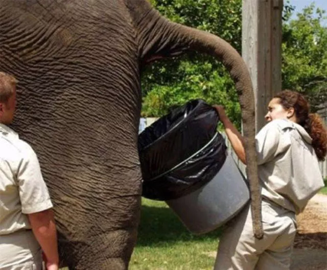 The worst jobs in the world - #15 