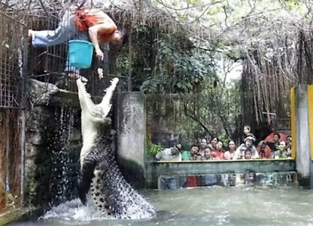 The worst jobs in the world - #20 