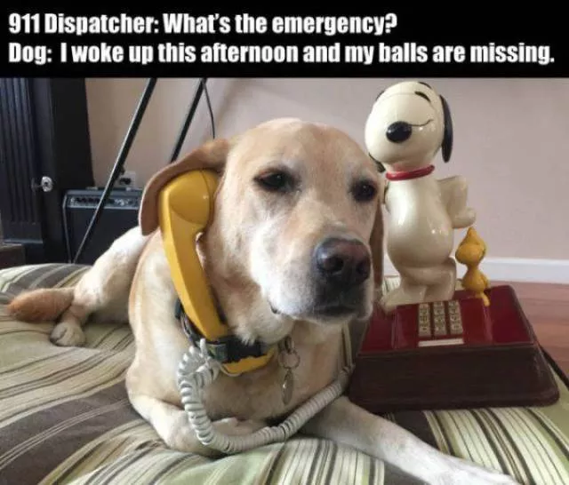 Its time for a bit of adult humor - #26 