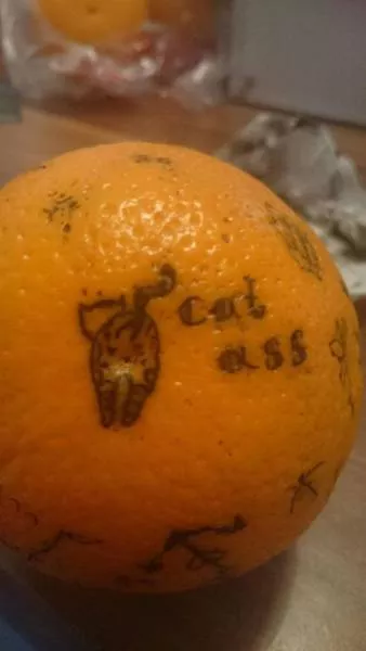 Its time for a bit of adult humor - #29 
