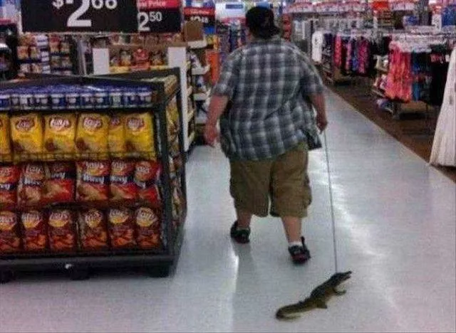 Picdump 180
