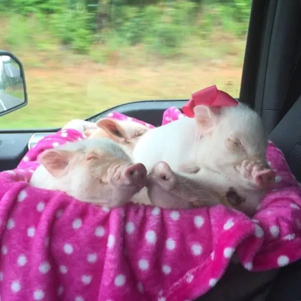 Picdump 180 - #44 