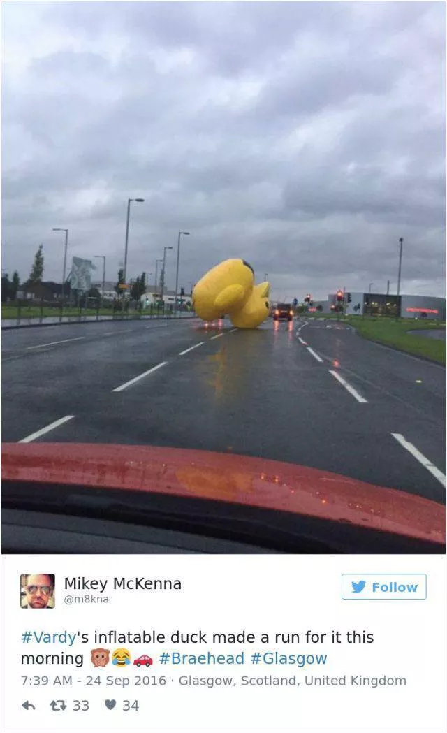 Picdump 180 - #50 