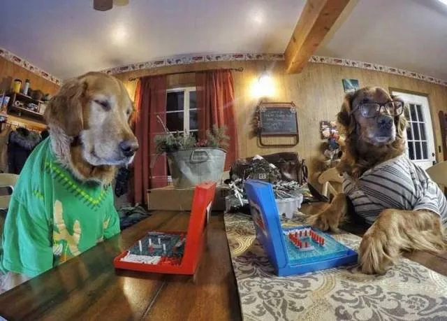 Picdump 180 - #9 