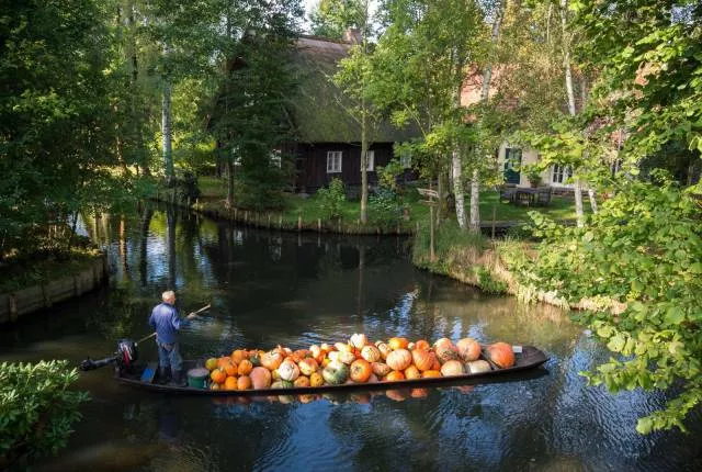Picdump 181 - #10 