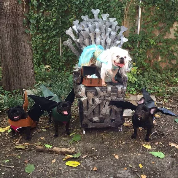 Picdump 181 - #11 