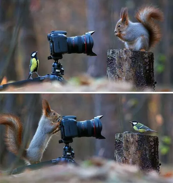 Picdump 181 - #12 