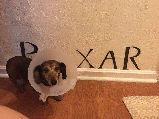 Picdump 181 - #20 