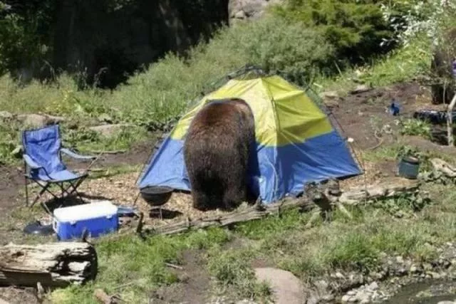 Picdump 181 - #21 