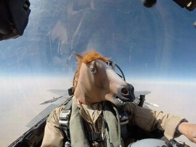 Picdump 181 - #55 