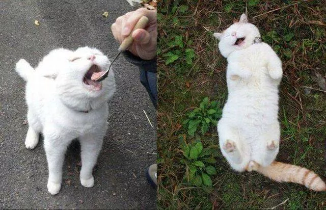 Picdump 181 - #63 