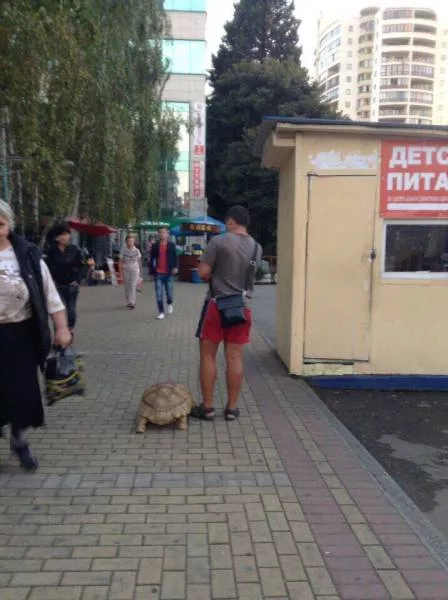 Picdump 181 - #9 