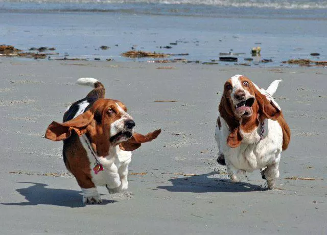 Picdump 182 - #19 Picdump 182 - #19