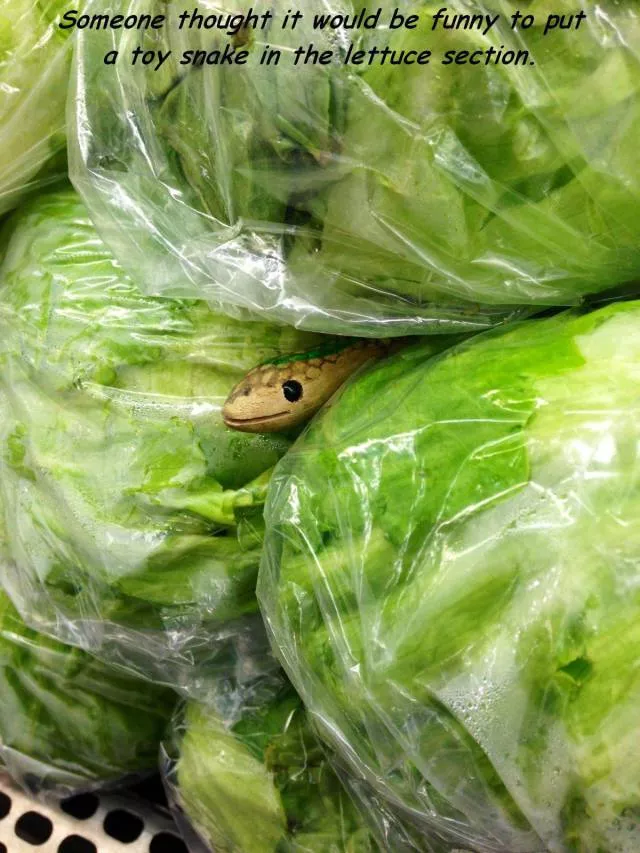 Picdump 182 - #28 