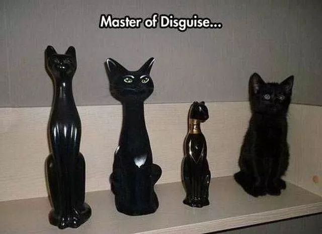 Picdump 182 - #43 