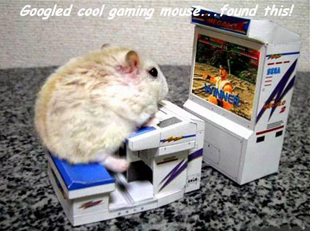 Picdump 182 - #9 Picdump 182 - #9