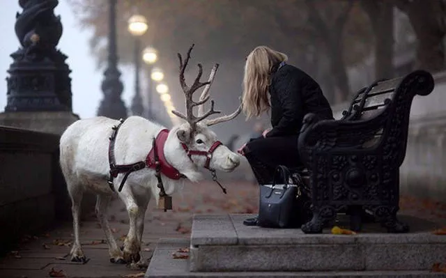 Fascinating photos that speak for themselves - #10 