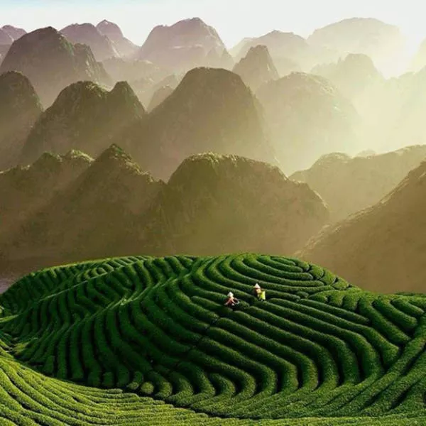 Fascinating photos that speak for themselves - #16 