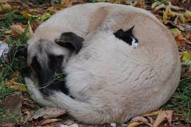 Fascinating photos that speak for themselves - #17 