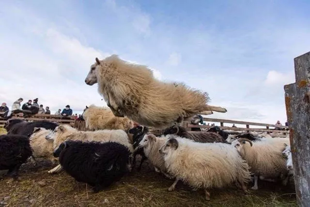 Fascinating photos that speak for themselves - #32 
