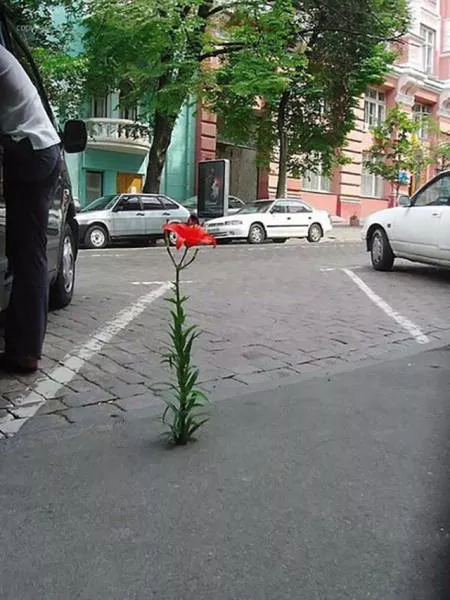 Fascinating photos that speak for themselves - #36 
