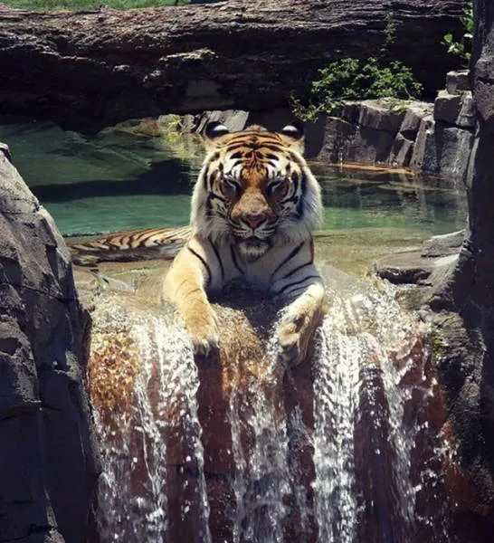 Fascinating photos that speak for themselves - #37 