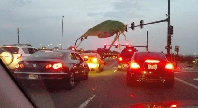 Fascinating photos that speak for themselves - #5 