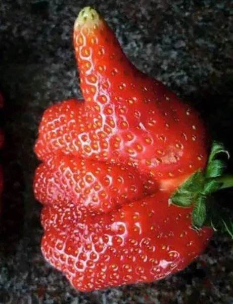 Fascinating photos that speak for themselves - #9 
