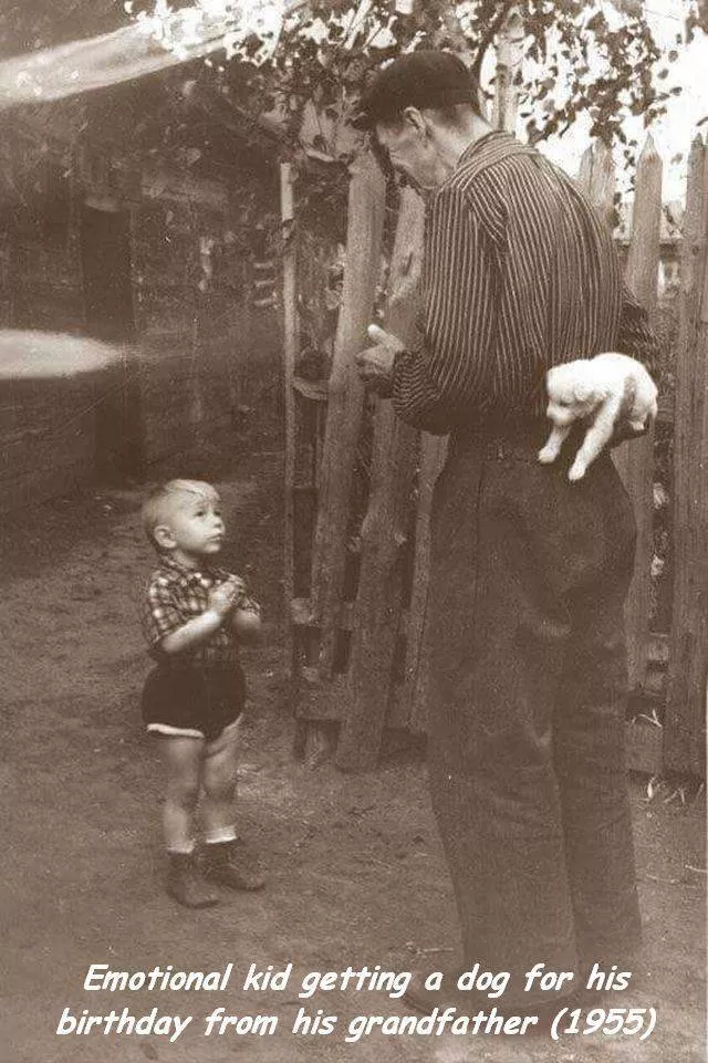 Picdump 183 - #8 