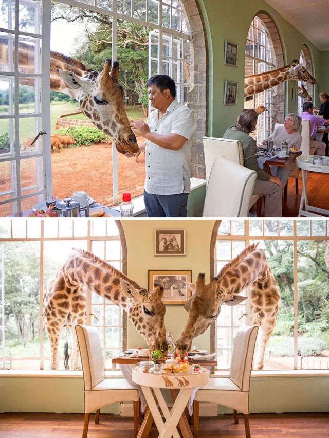 The most unique restaurants in the world - #2 
