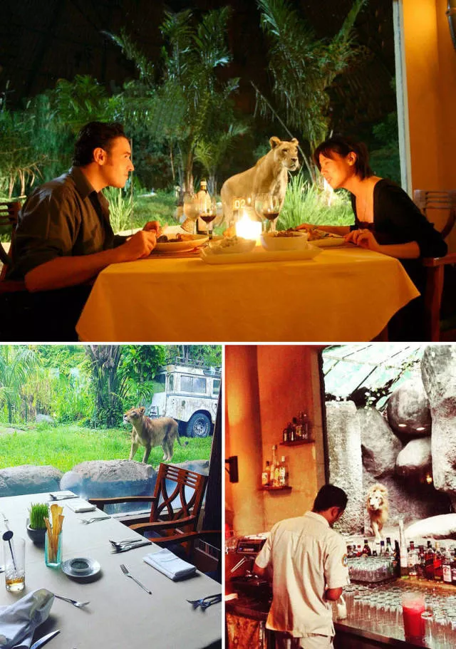 Les restaurants les plus uniques du monde - #22 