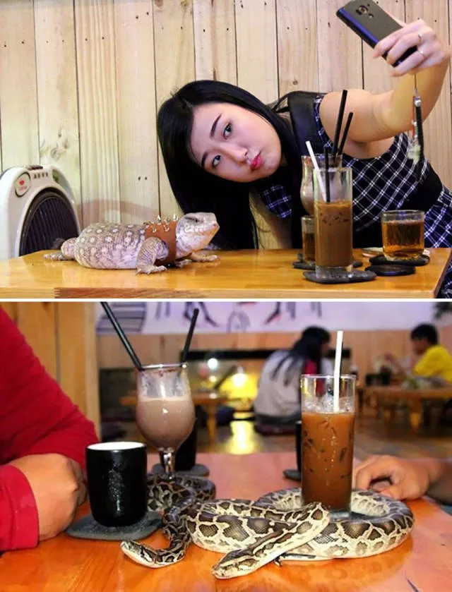 Les restaurants les plus uniques du monde - #31 