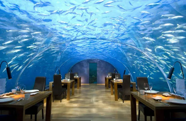 Les restaurants les plus uniques du monde - #5 